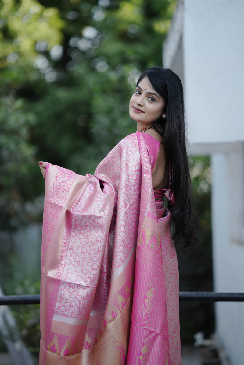Royal Weaves of Dharmavaram Silk Saree Pink