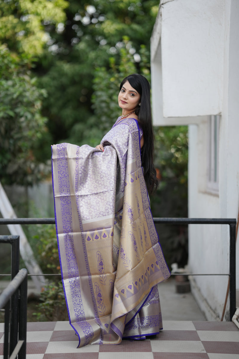 Royal Weaves of Dharmavaram Silk Saree Blue