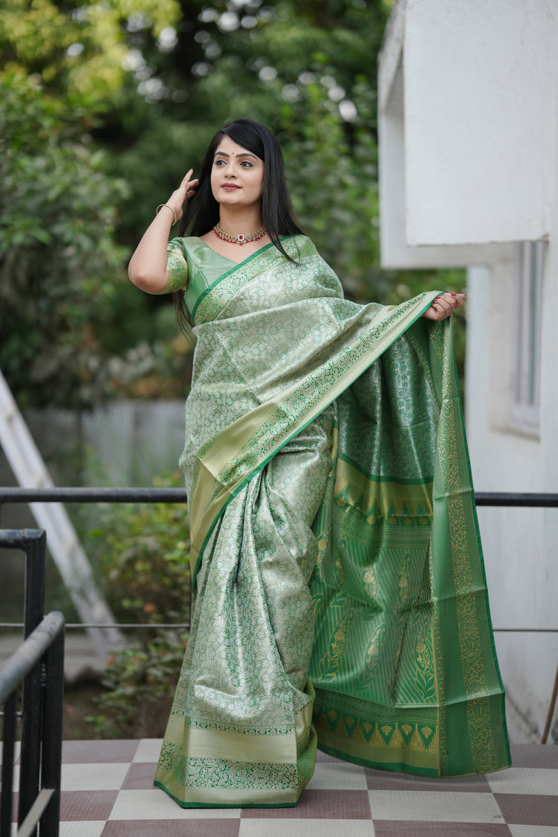 Royal Weaves of Dharmavaram Silk Saree Green