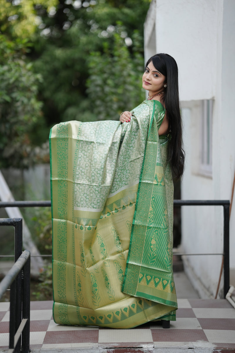 Royal Weaves of Dharmavaram Silk Saree Green