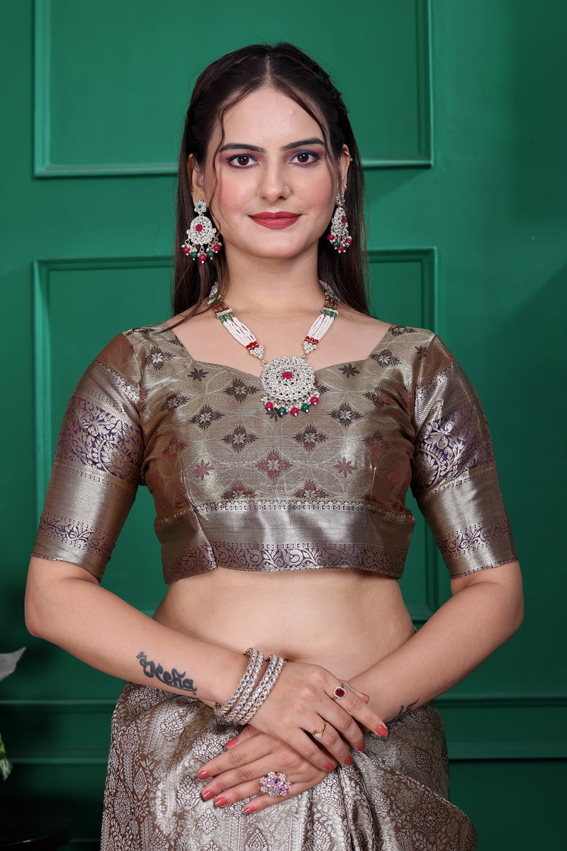Dharmavaram Seven Grey Banarasi Saree